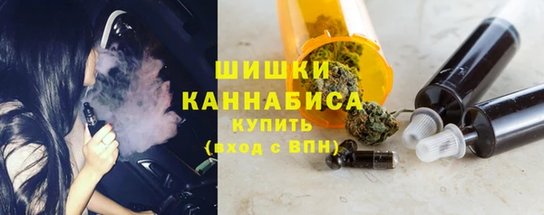 хмурый Пересвет