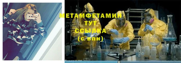 хмурый Пересвет