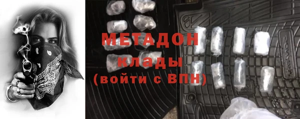 хмурый Пересвет