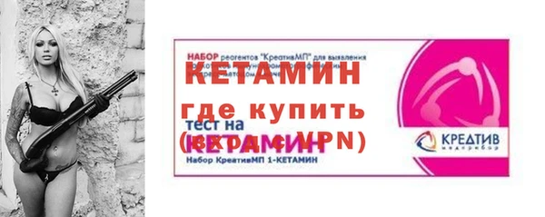хмурый Пересвет