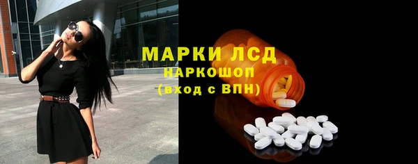 хмурый Пересвет