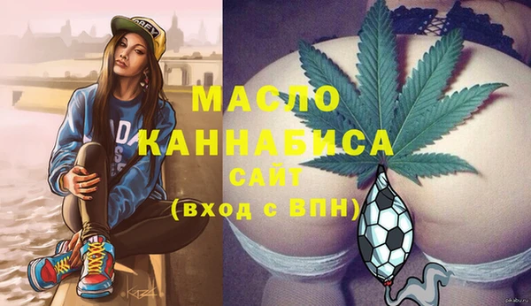 хмурый Пересвет