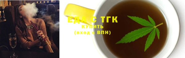 хмурый Пересвет