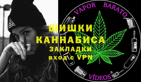 хмурый Пересвет