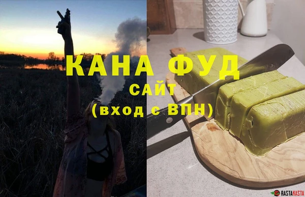 хмурый Пересвет