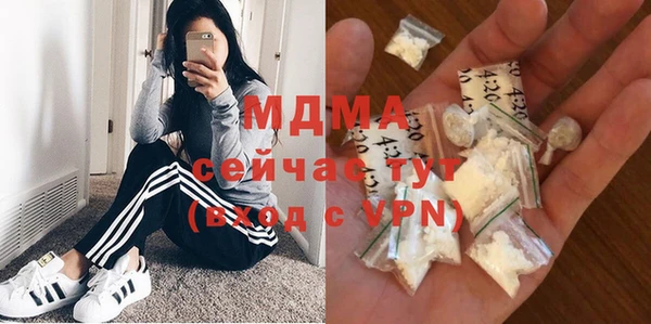 хмурый Пересвет