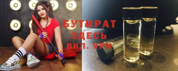 хмурый Пересвет