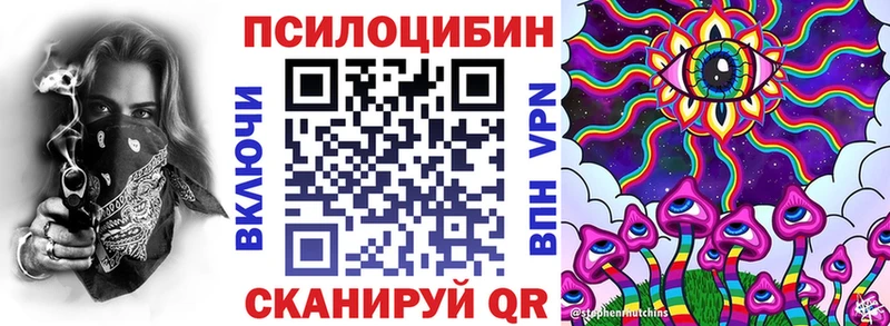 где купить наркоту  Бугуруслан  Псилоцибиновые грибы Psilocybe 