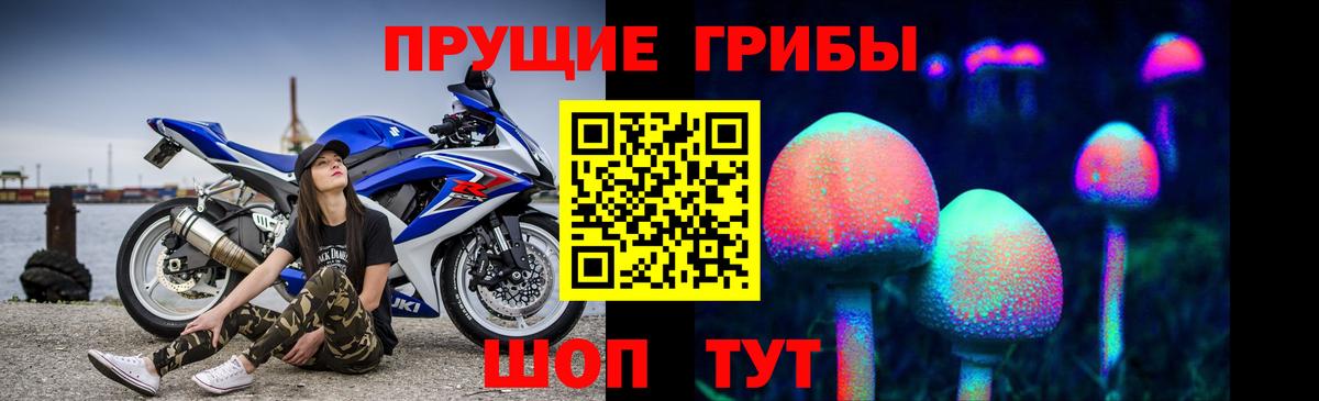Галлюциногенные грибы Psilocybe  Вход с VPN  купить закладку  Бугуруслан 